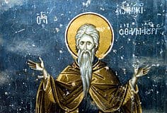 Прп. Иоанникий Великий